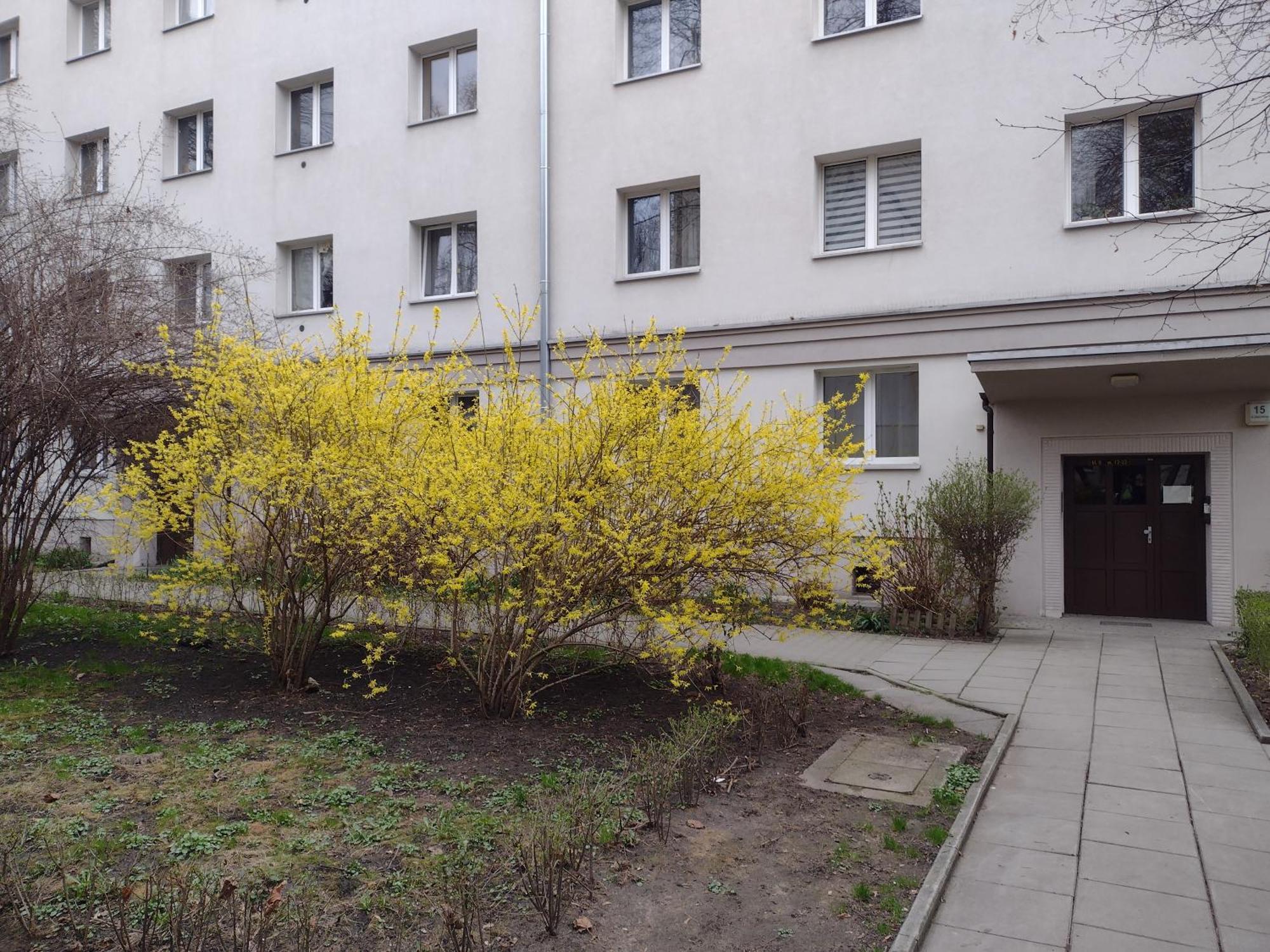 Cracowapart Ignacio A Krakau Exterior foto